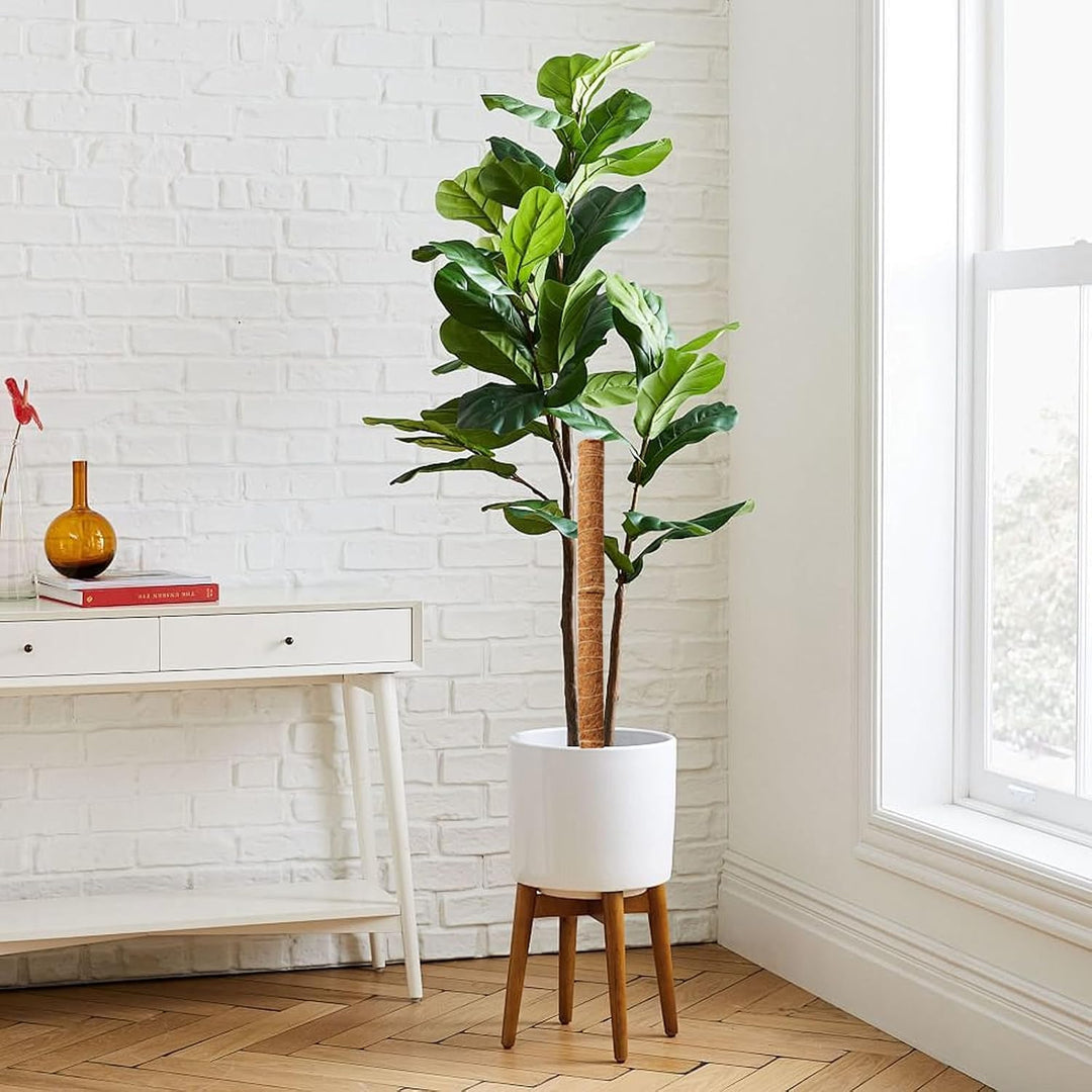 Skanto | Kokosnøtt mosepinne for klatreplanter – Naturlig klatrehjelp for stueplanter og hage