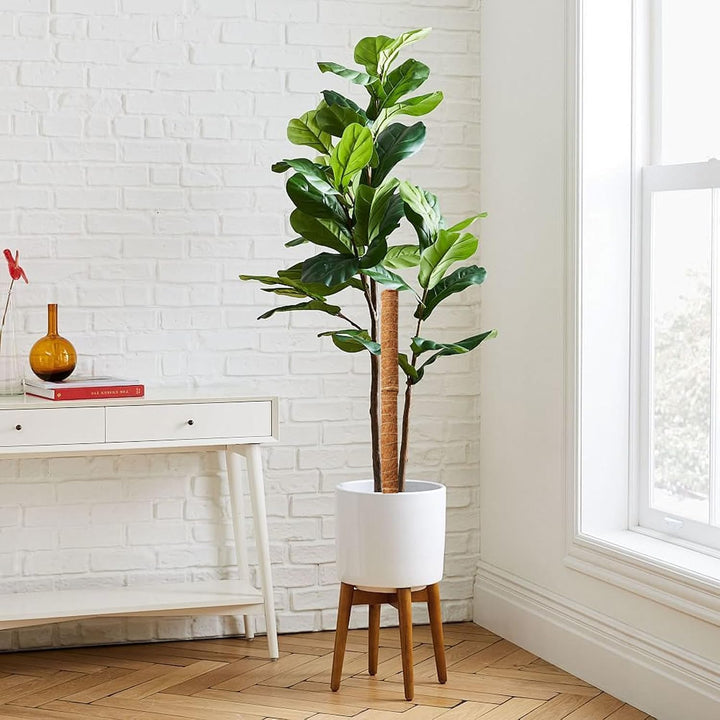 Skanto | Kokosnøtt mosepinne for klatreplanter – Naturlig klatrehjelp for stueplanter og hage