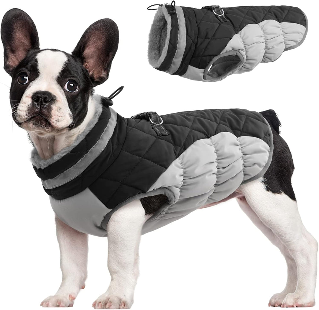 Skanto | SafeWalk Vintersele Jakke – Vanntett hundejakke med refleks og fleeceforing