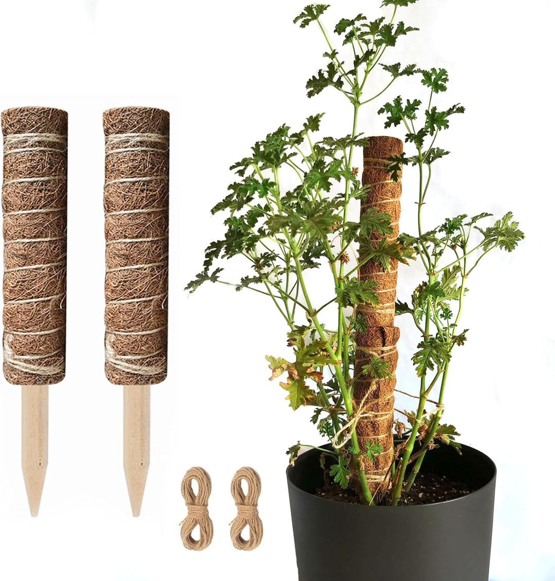 Skanto | Kokosnøtt mosepinne for klatreplanter – Naturlig klatrehjelp for stueplanter og hage