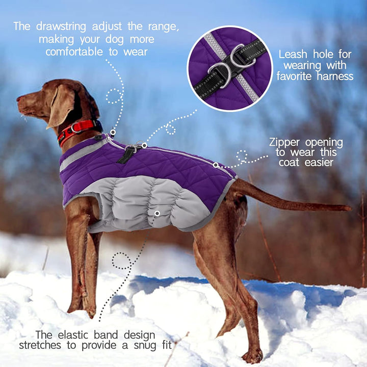Skanto | SafeWalk Vintersele Jakke – Vanntett hundejakke med refleks og fleeceforing