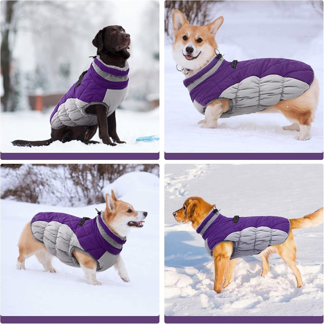 Skanto | SafeWalk Vintersele Jakke – Vanntett hundejakke med refleks og fleeceforing