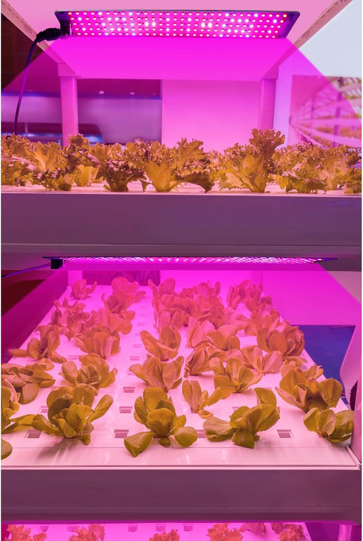 Skanto | LED Quantum Plante Lys Panel for Vekst og Farge Fremming – Med Justerbar Lysmodus