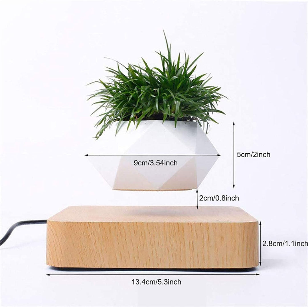 Skanto | Flytende Blomsterpotte – Magnetisk Flytende Planteholder