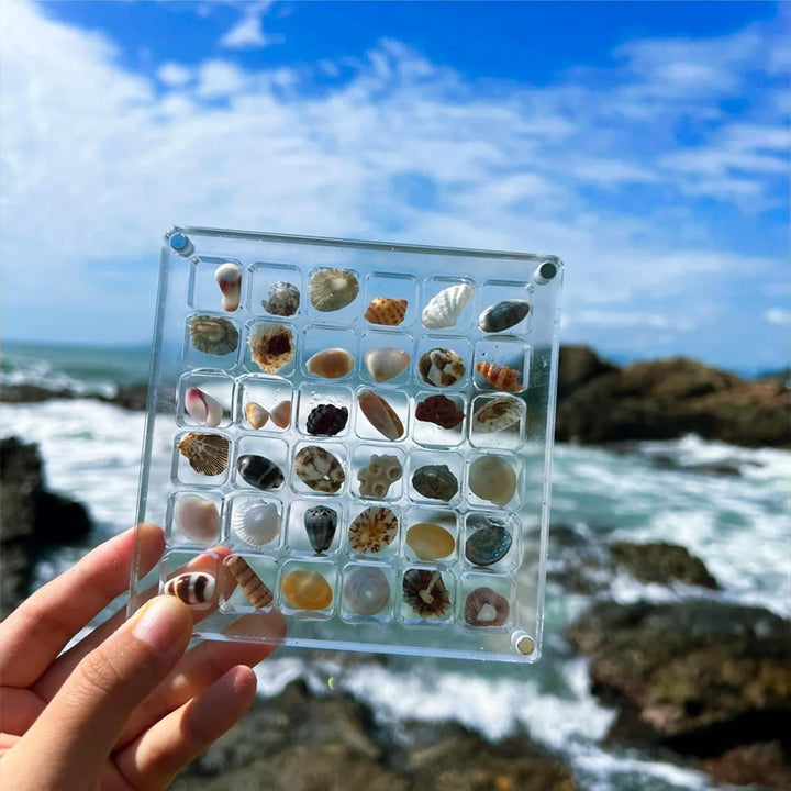 Acrylic Treasure Keeper | Stilfull lagring av din havsamling | Skanto