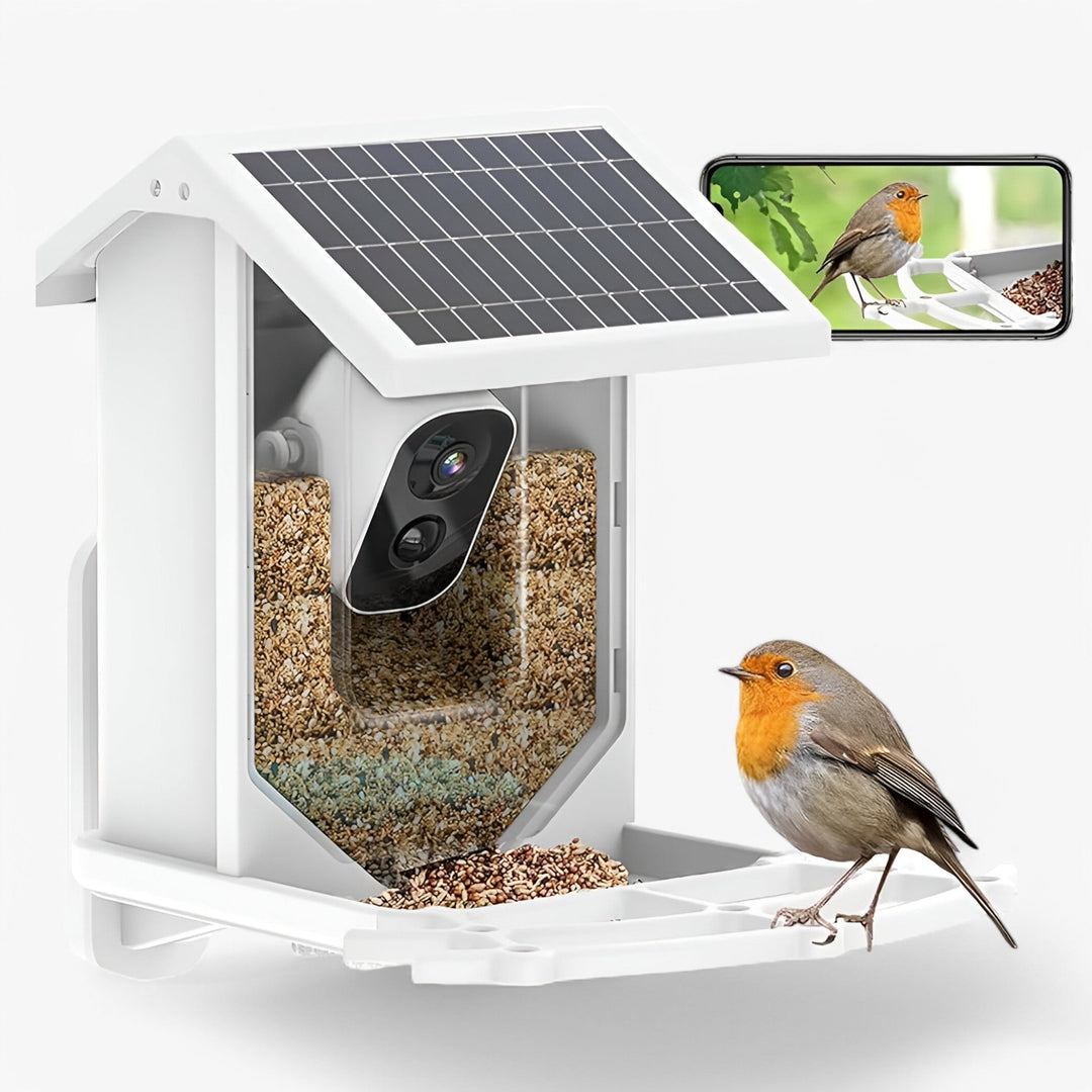 Skanto | Auxco | Smart Bird Feeder med 1080P HD Kamera, AI Fuglgjenkjenning & Solenergi Lading