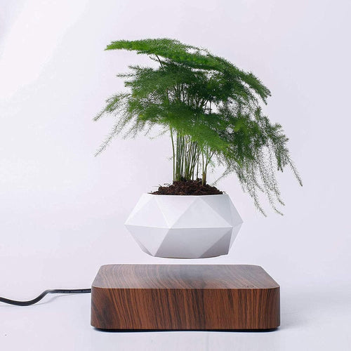 Skanto | Flytende Blomsterpotte – Magnetisk Flytende Planteholder