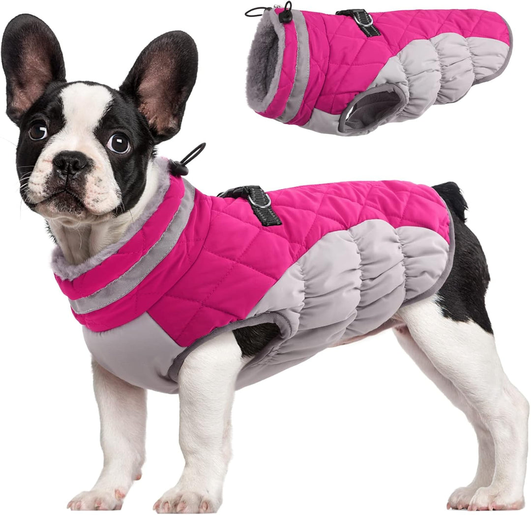 Skanto | SafeWalk Vintersele Jakke – Vanntett hundejakke med refleks og fleeceforing