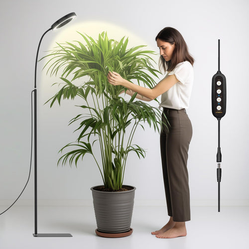 Skanto | Glowrium Vekstlys For Innendørsplanter, 20W Led Plante Vekstlys Med Automatisk Timer, Full Spektrum Justerbar Høyde Stående Plante Vekstlys, 3 Lysmodus, 6-Nivå Dimbar (Svart)