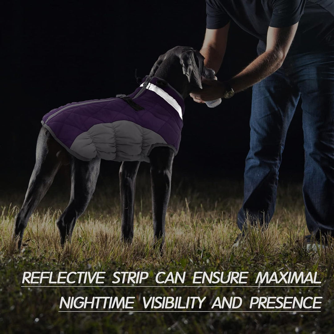 Skanto | SafeWalk Vintersele Jakke – Vanntett hundejakke med refleks og fleeceforing
