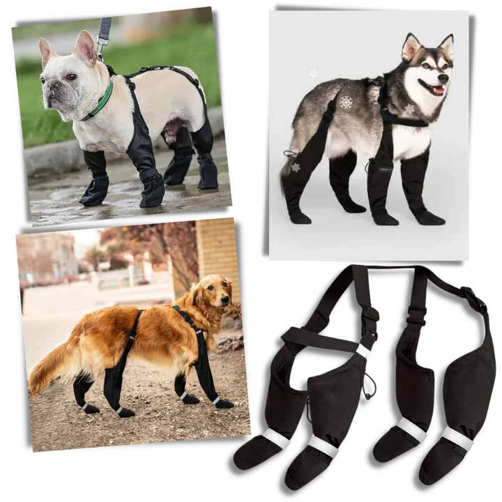 Skanto | Vannavvisende Hundesuspendere Støvler