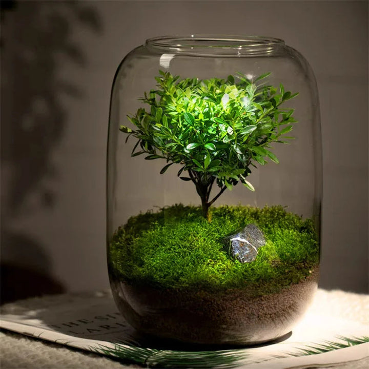 Micro Landscape Green Oasis Glass Vase | Skanto