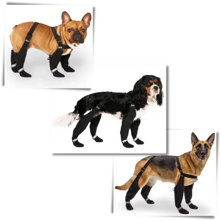Skanto | Vannavvisende Hundesuspendere Støvler