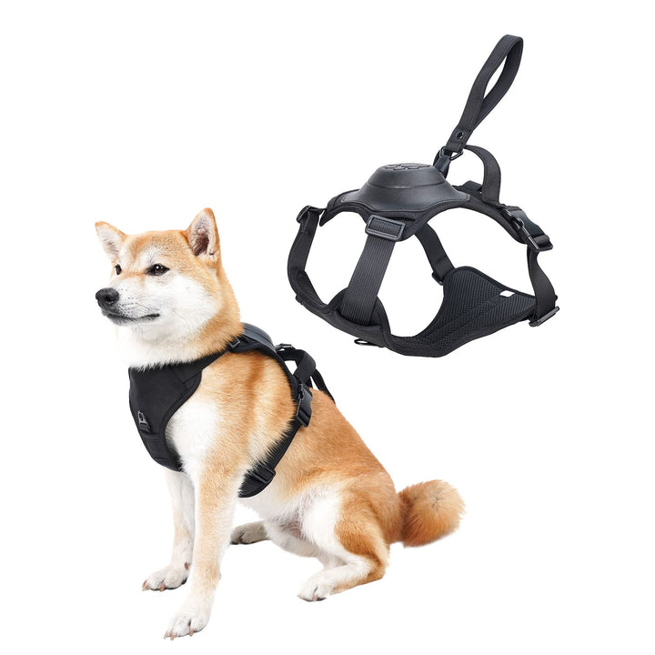 Skanto | mamymarket™ - Hundesele og sammenleggbar båndsett Alt-i-ett