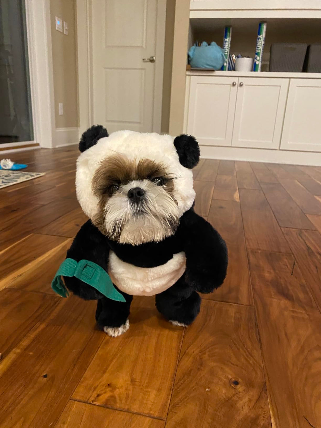 Skanto | Pandaloon Hund og Katt Kostyme Sett