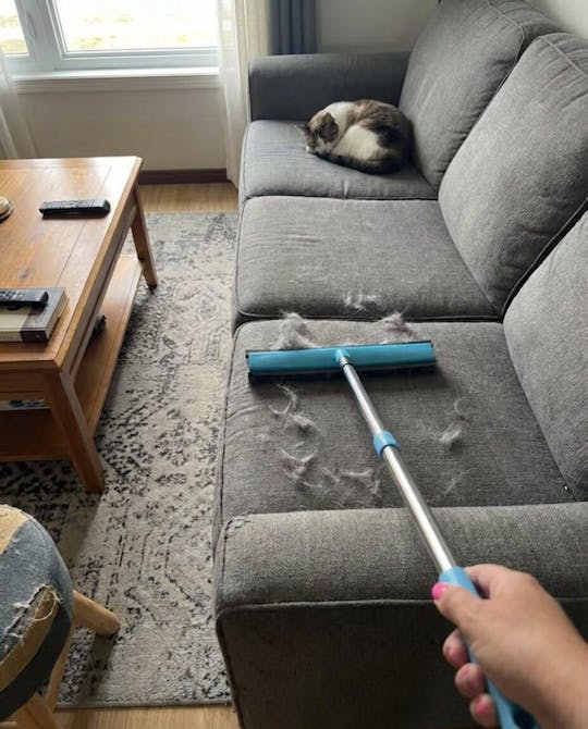 FurCleer — Sett et stopp for dyrehår og føl deg fri i hjemmet ditt | Skanto