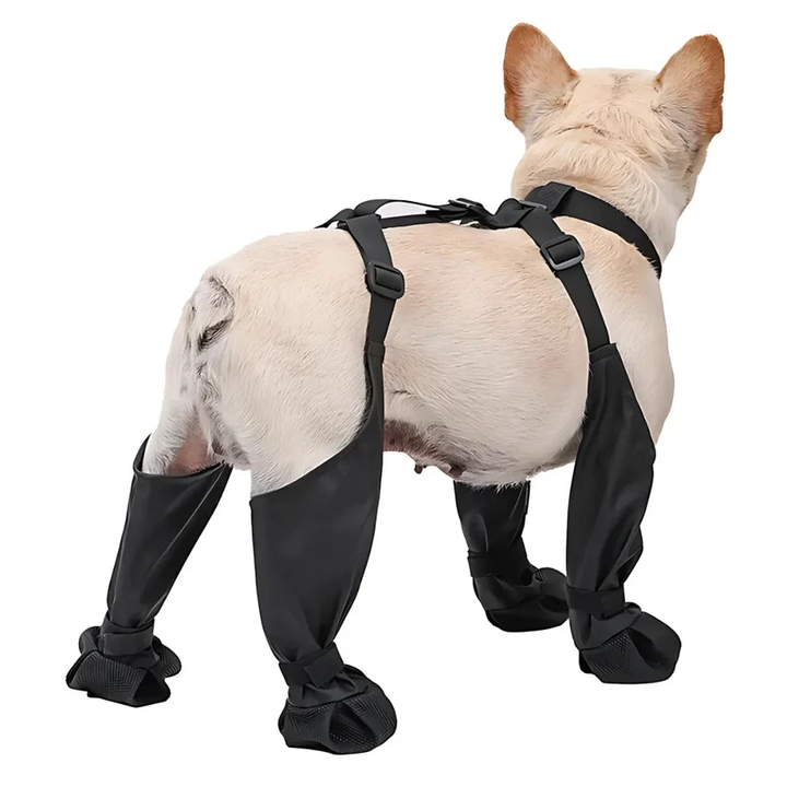 Hunde-Hosenträgerschuhe mit vollständiger Abdeckung und rutschfester Sohle
