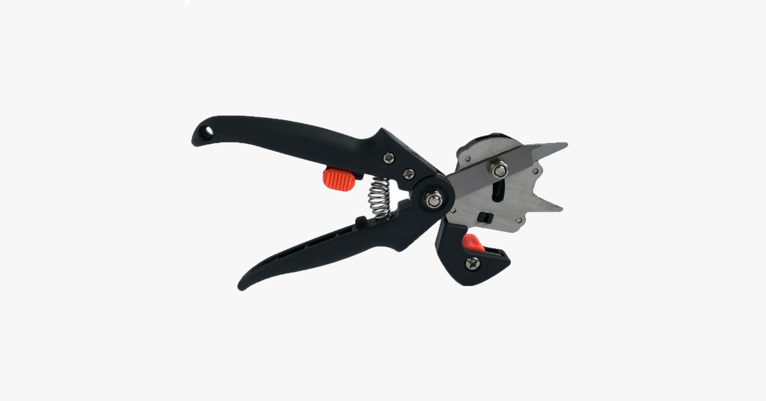 Skanto | Nifty Gardener's Graft – Forbedre dine hageferdigheter!