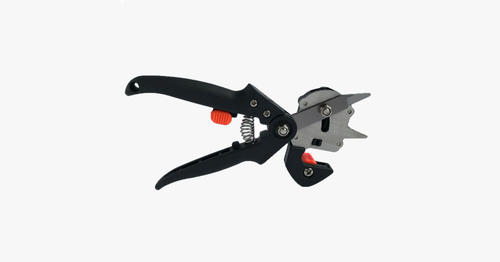 Skanto | Nifty Gardener's Graft – Forbedre dine hageferdigheter!