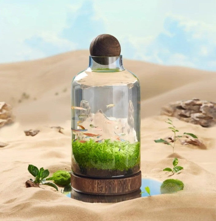 Mikro Akvarium Kompakt Glass Økologisk Fisken Tank | Skanto