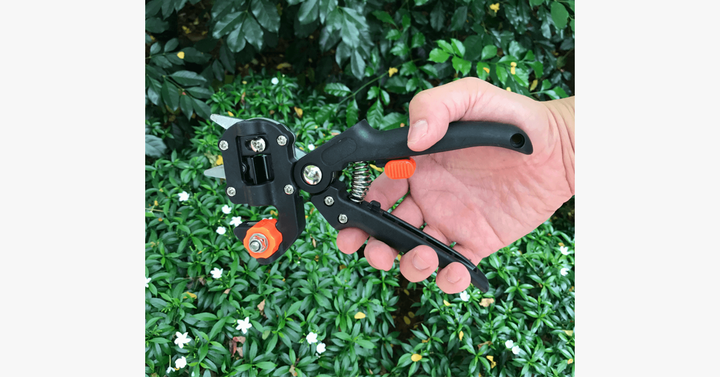 Skanto | Nifty Gardener's Graft – Forbedre dine hageferdigheter!