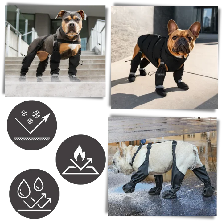 Skanto | Vannavvisende Hundesuspendere Støvler