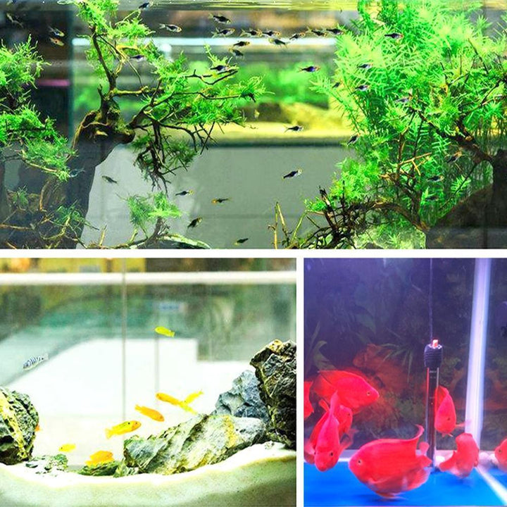 Skanto | Eco-Aquarium Vannrenser Kubus
