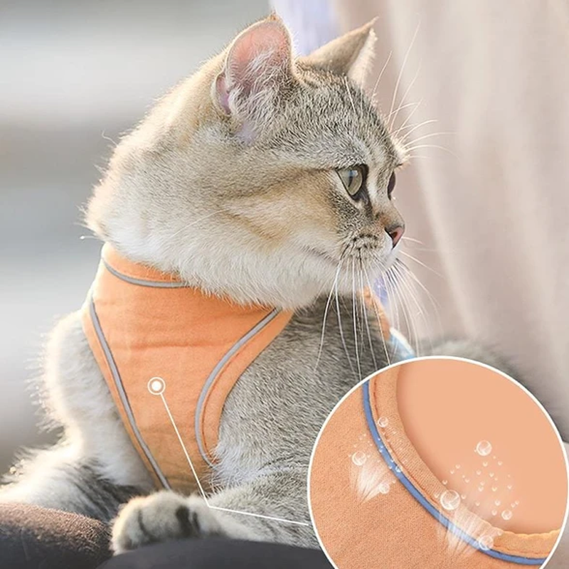 Skanto | Kat Vest Sele og Båndsett