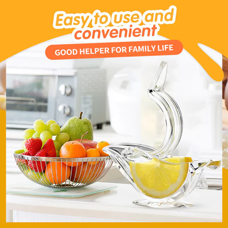 Transparent Manual Juicer | Skanto