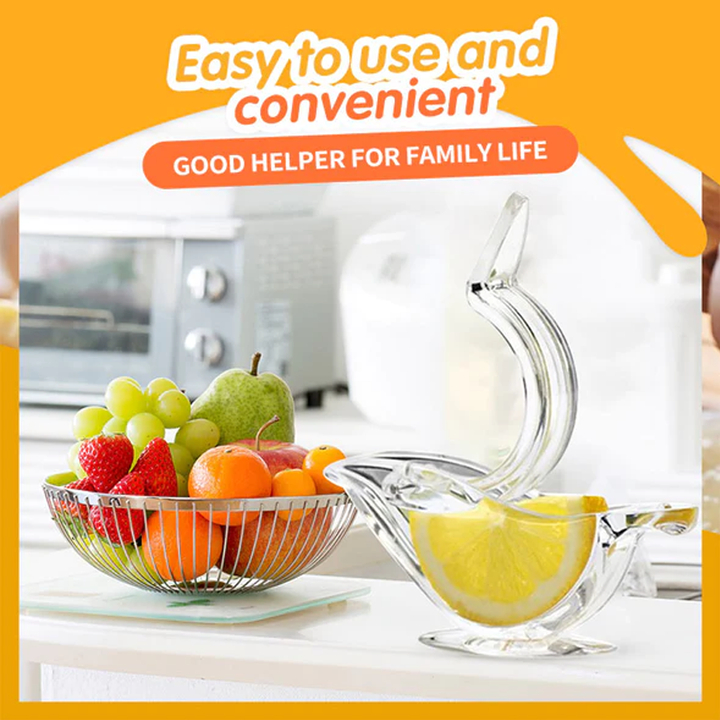 Transparent Manual Juicer | Skanto