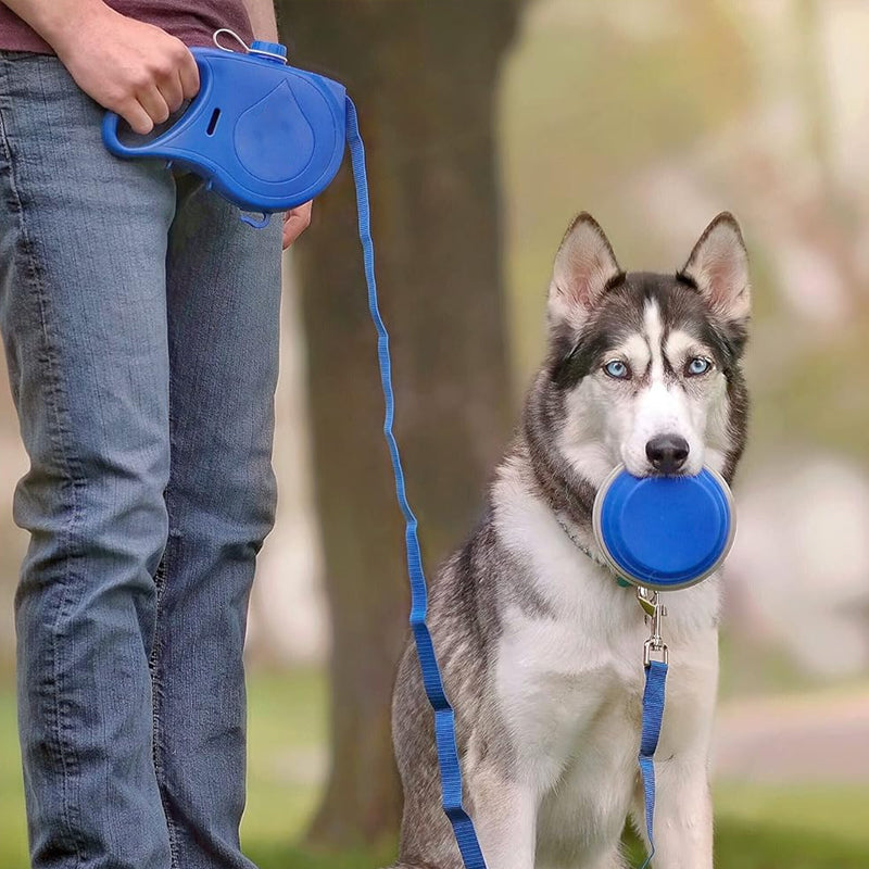 Skanto | 4 i 1 Hundekortlåser