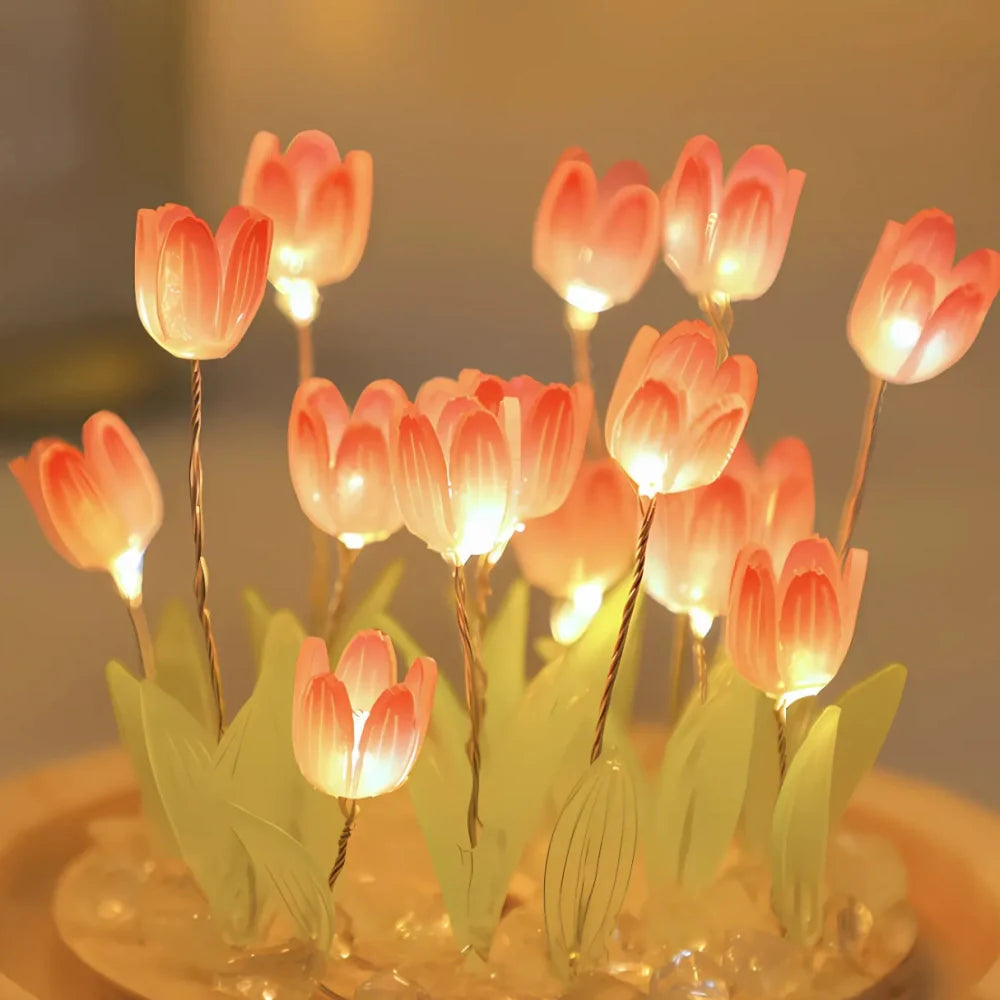 Skanto | TulipBloom Fortryllelse