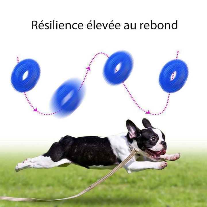 Vocal Ball Hundekjøttleketøy | Skanto