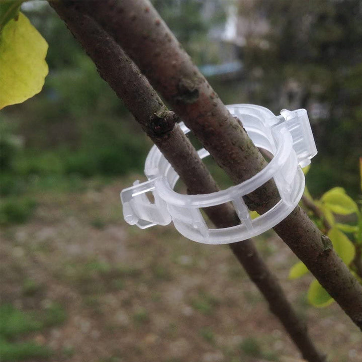 Plastikkinn for å holde planter | Skanto