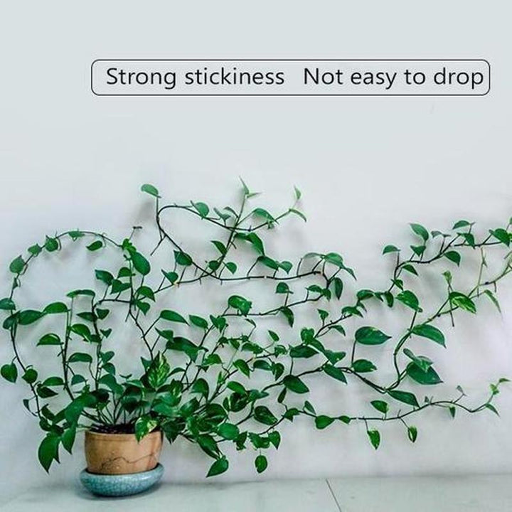 Veggstifter for klatreplanter (30 stykker) | Skanto