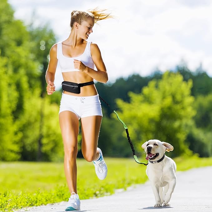 Skanto | PawsFree Pro – Nyt stressfrie turer med hunden din