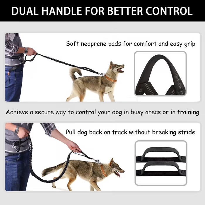 Skanto | PawsFree Pro – Nyt stressfrie turer med hunden din