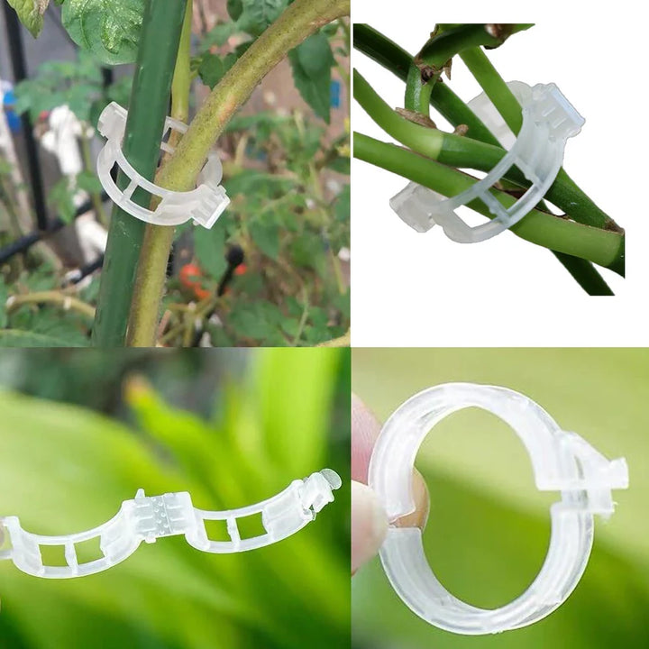 Skanto | Plante støtteklips for klatreplanter – Fleksibel holder for plante stengler