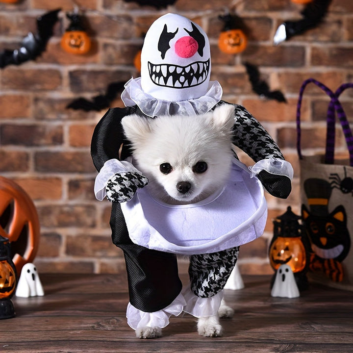 Skanto | Morsom Skremmende Hund Halloween Kostyme | Liten Gå Outfit