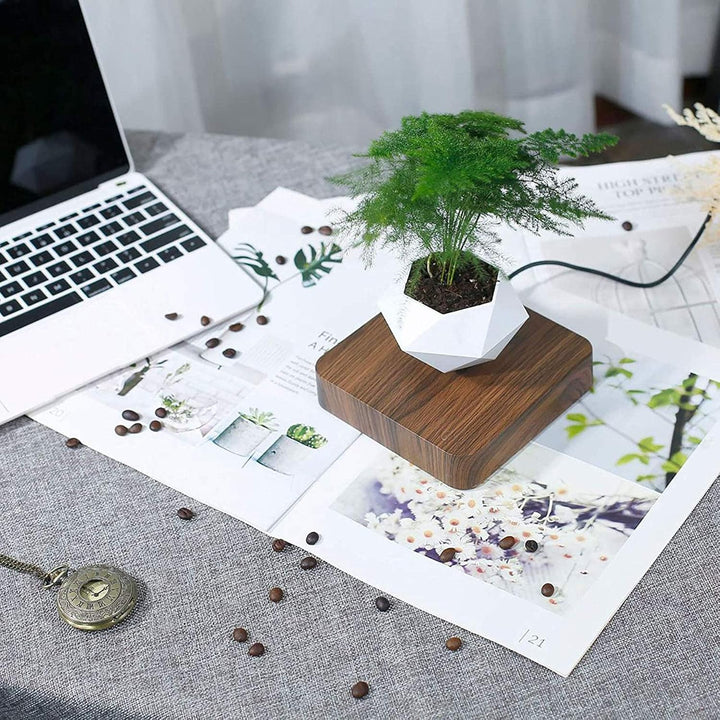 Skanto | Flytende Blomsterpotte – Magnetisk Flytende Planteholder