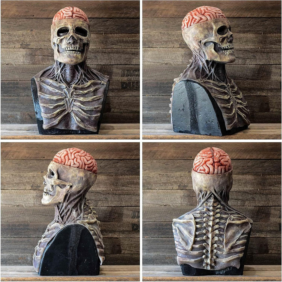 Skanto | Halloween Hodeskallemaske med Hjernekontur