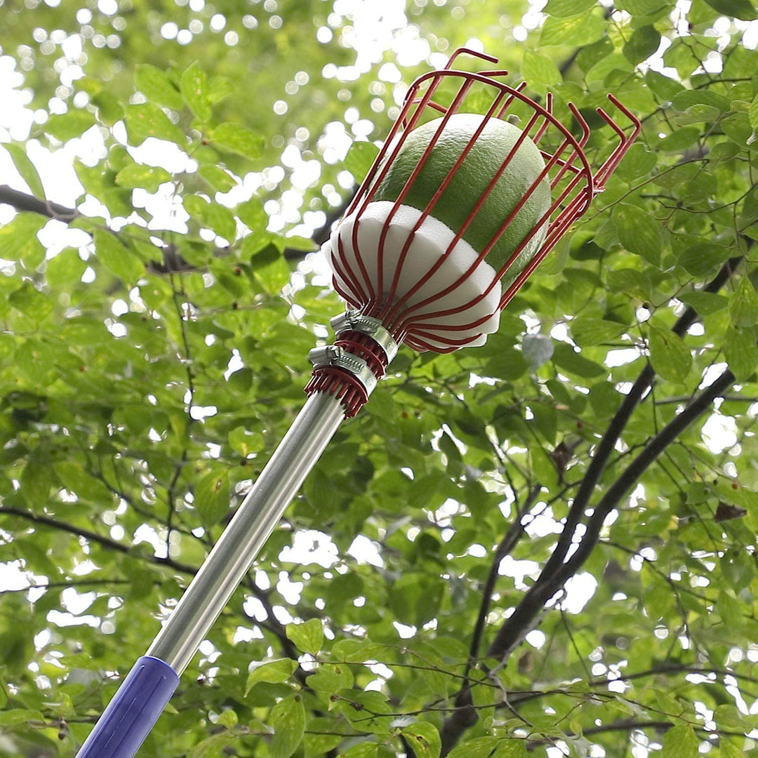 Fruktplukker Verktøy | Skanto