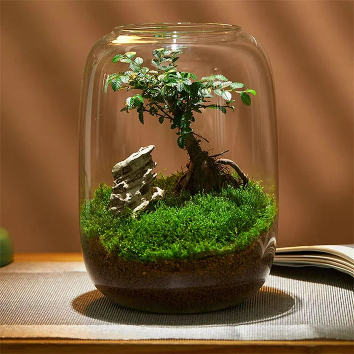 Micro Landscape Green Oasis Glass Vase | Skanto