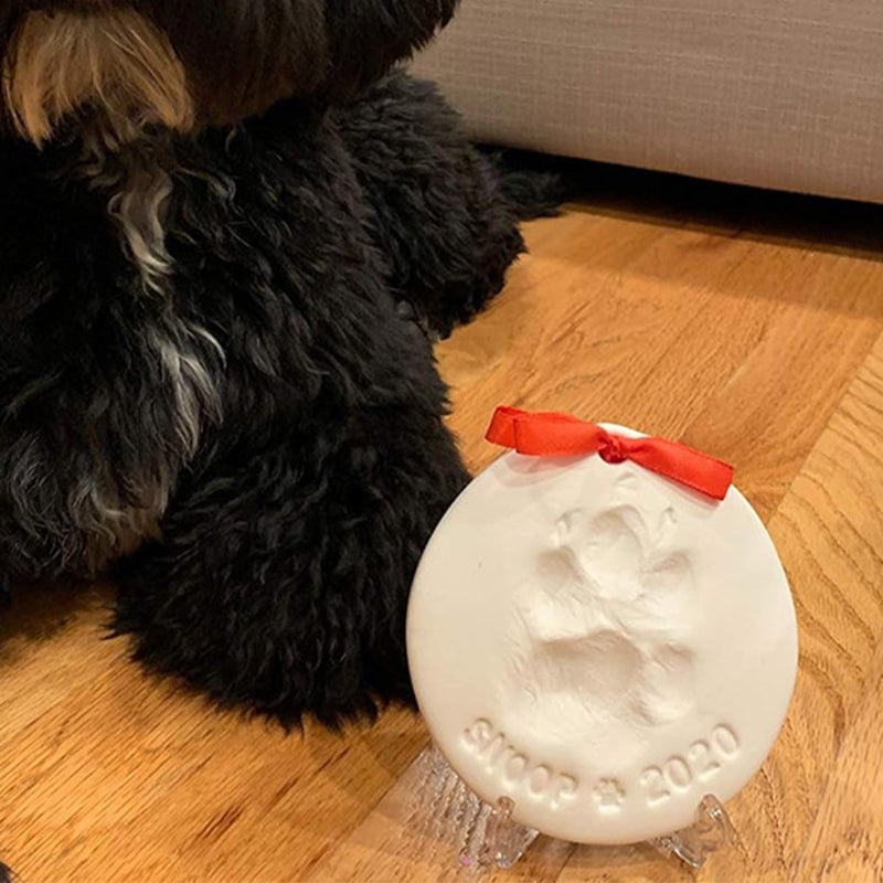 Skanto | Clay Pet Paw Impression Moulding Kit