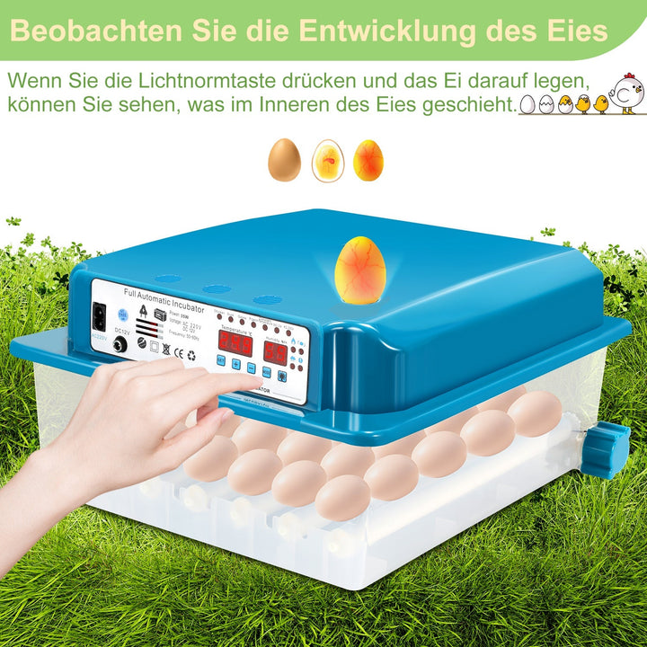 Brutautomat Fulle Automatisk Inkubator for Kyllinger 36 Egg | Skanto