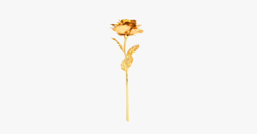 Skanto | 24K gullbelagt ekte rose med gaveeske