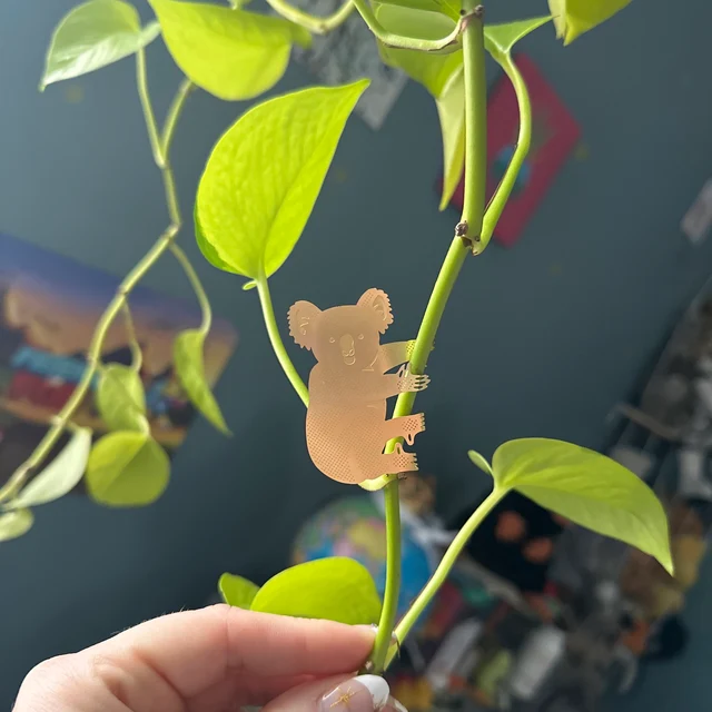 Skanto | Plant Dyr Dekorasjoner