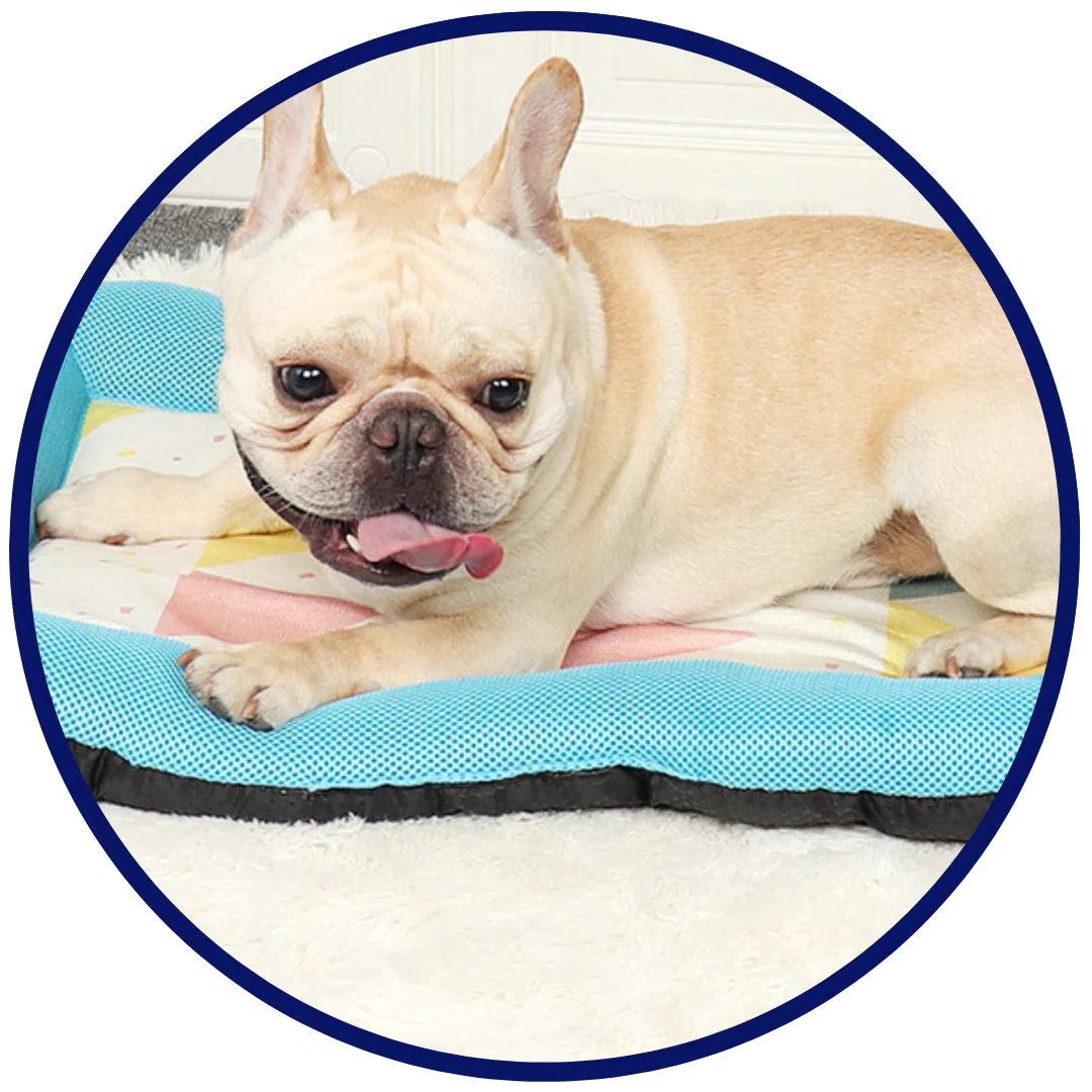 Skanto | Pet Silk Cooling Mat