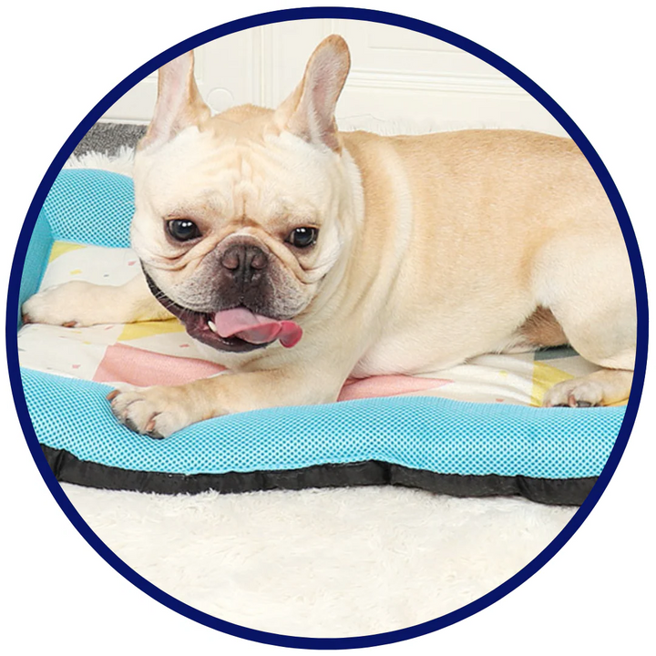 Pet Silk Cooling Mat | Skanto