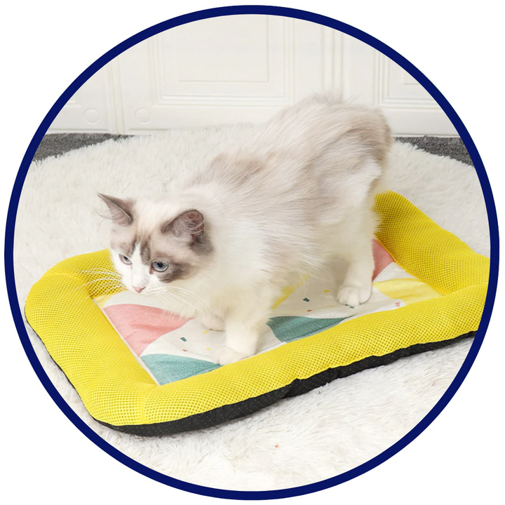 Skanto | Pet Silk Cooling Mat